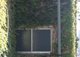 6R2A2657_