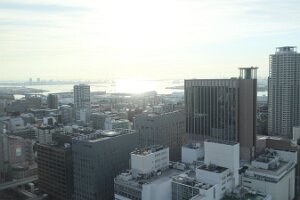 IMG_8113_